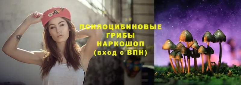 цены   Сертолово  Псилоцибиновые грибы Magic Shrooms 